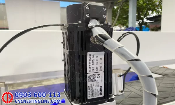 Động cơ servo máy khoan ngang CNC 2 đầu | cncnestingline